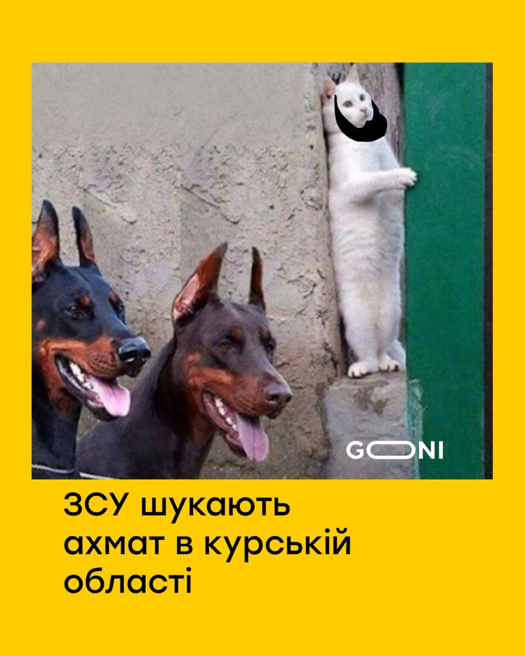 Українська армія захопила Курську область — найсмішніші меми - фото 629056