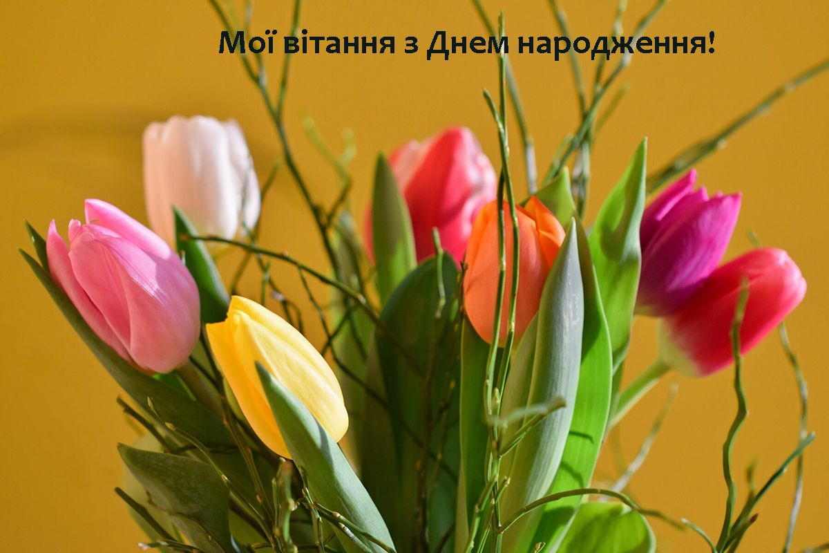 З днема народження - картинки квітів - 629381 З днема народження - картинки квітів - фото 629381