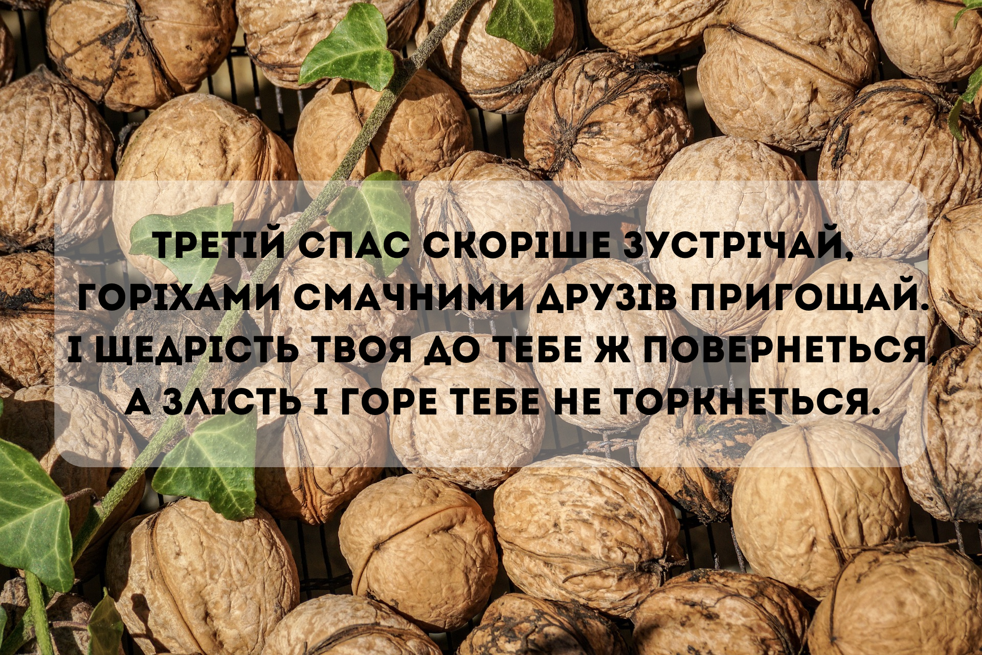 Ореховый Спас: лучшие поздравления в стихах и милые картинки к празднику - фото 630165