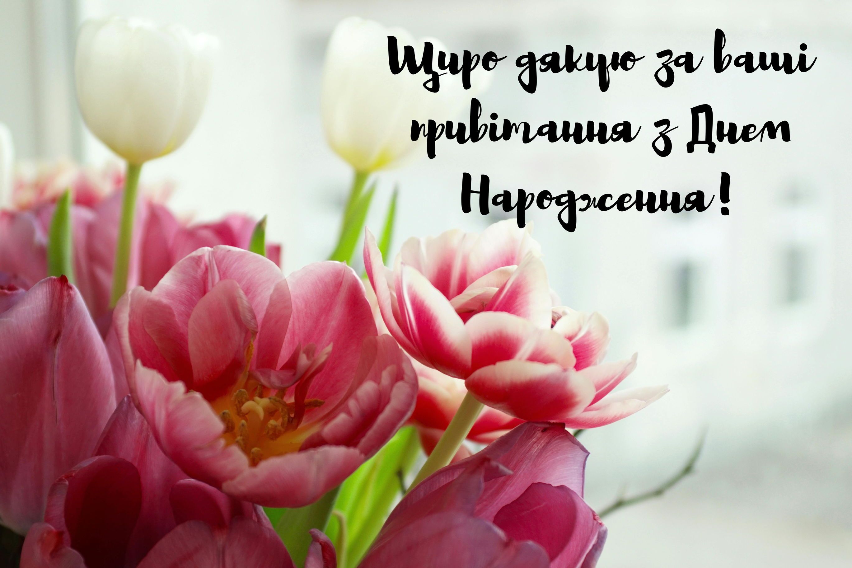 Ідеї для подяки за привітання - 630469 Ідеї для подяки за привітання - фото 630469