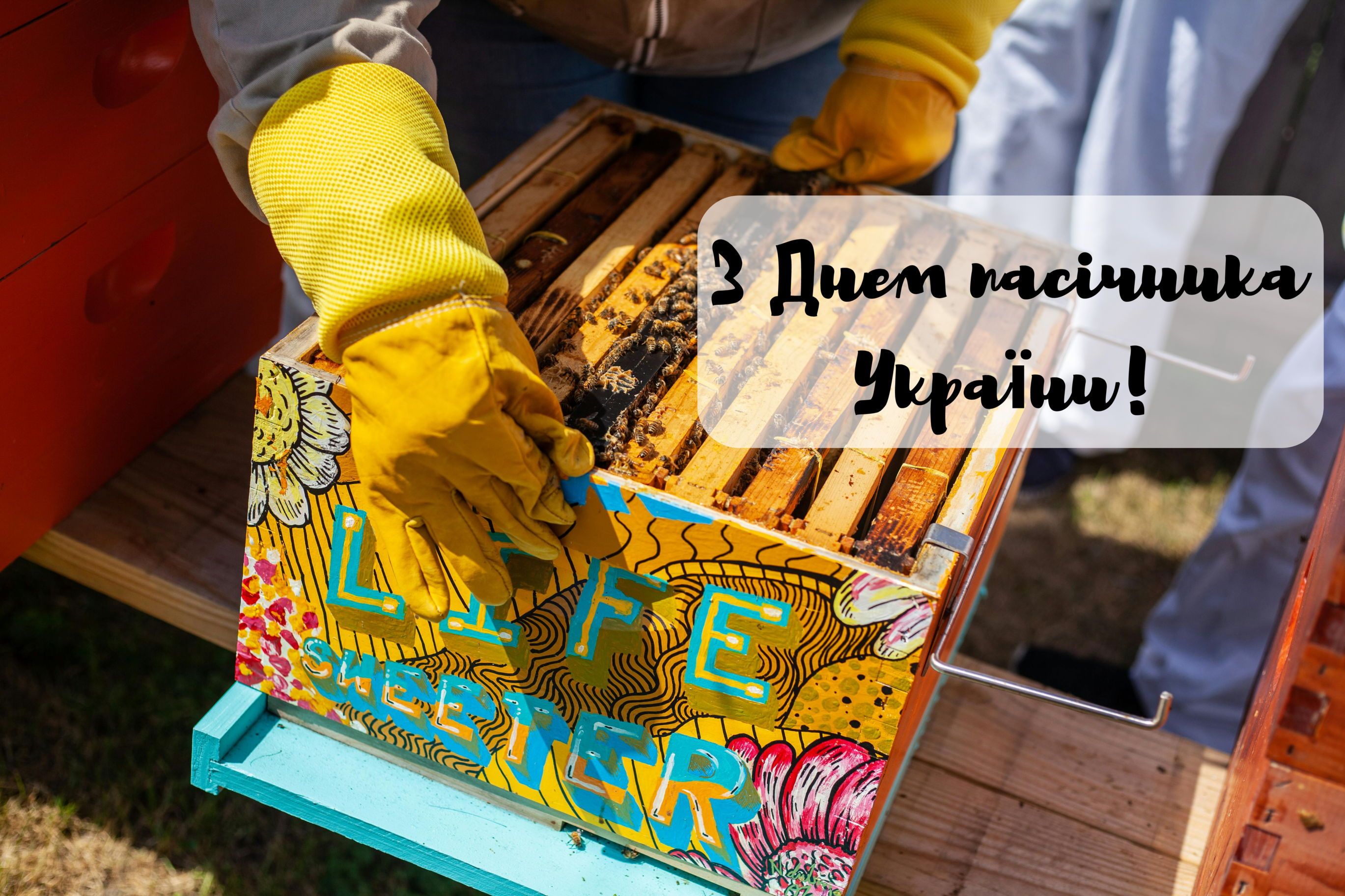 Кращі привітання на День пасічника - фото 630497