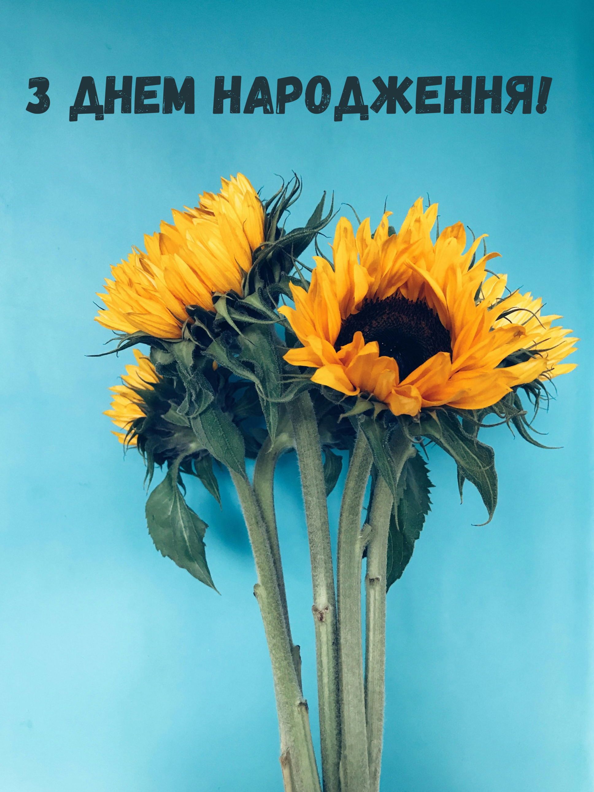 Искренне поздравляю с днем рождения: особенные поздравления для твоих близких в картинках - фото 630891