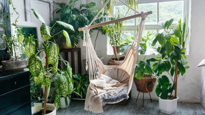 Что такое биофильный интерьер, и почему тебе стоит это попробовать