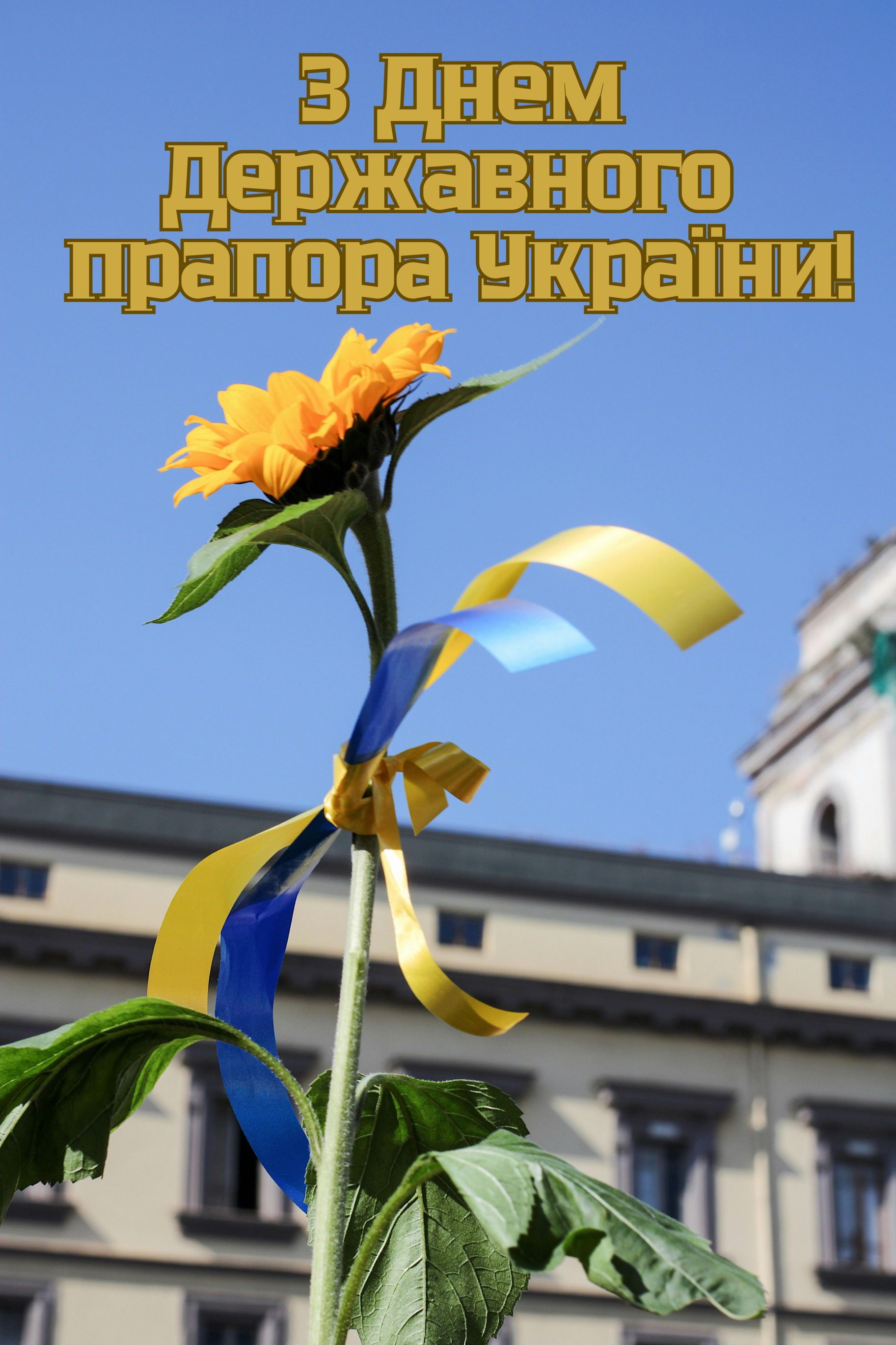 З Днем Прапора України проза, вірші та картинки  - фото 631357