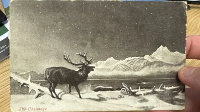 У Великій Британії спливла листівка 121-річної давнини