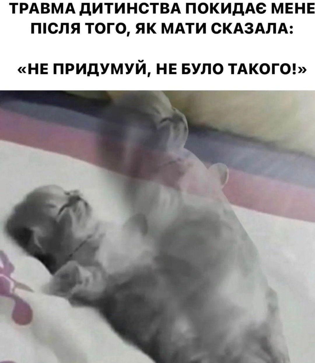 Меми про нервову систему українців, яка тримається на чесному слові - 632162 Меми про нервову систему українців, яка тримається на чесному слові - фото 632162