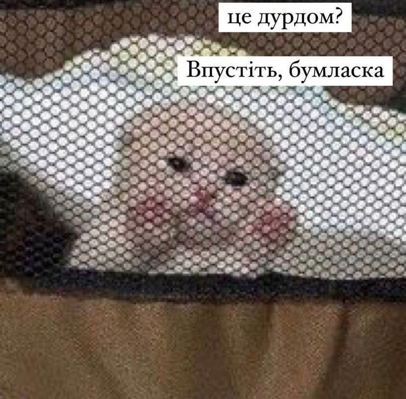 Меми про нервову систему українців, яка тримається на чесному слові - 632170 Меми про нервову систему українців, яка тримається на чесному слові - фото 632170