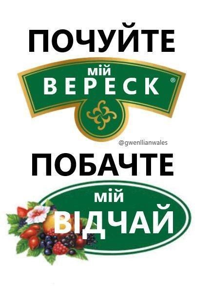 Меми про нервову систему українців, яка тримається на чесному слові - 632174 Меми про нервову систему українців, яка тримається на чесному слові - фото 632174