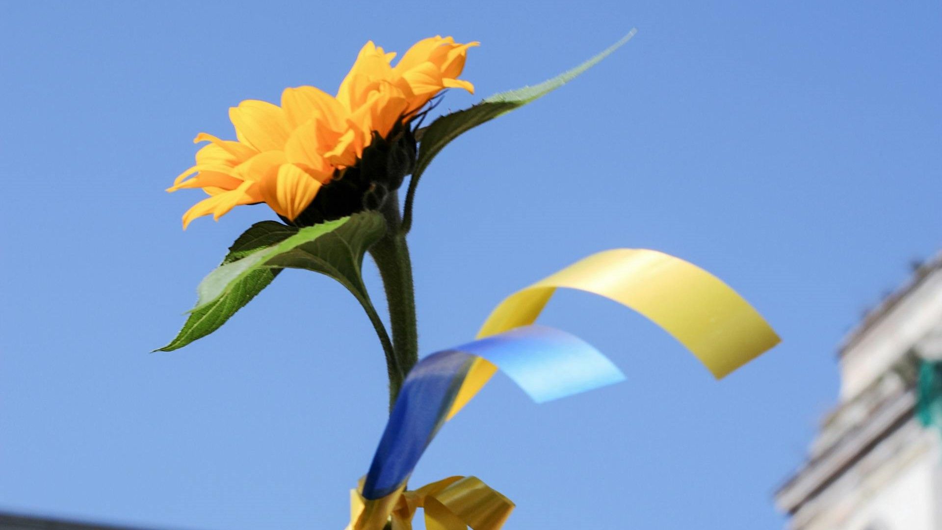 Патріотичні цитати про Україну - 632503 Патріотичні цитати про Україну - фото 632503