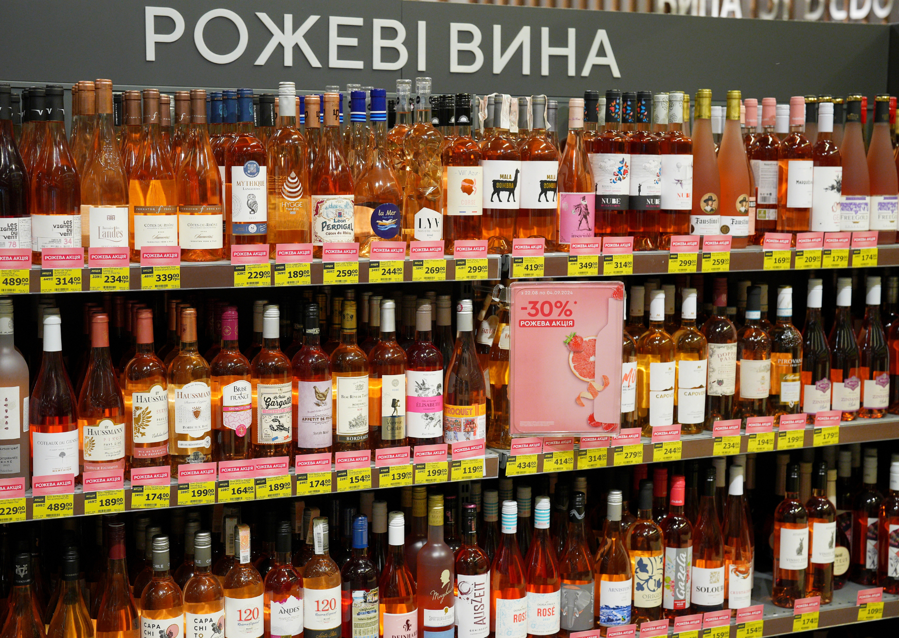 Провожаем лето с розе: NOVUS дарит скидки на розовые напитки - 632588 Провожаем лето с розе: NOVUS дарит скидки на розовые напитки - фото 632588