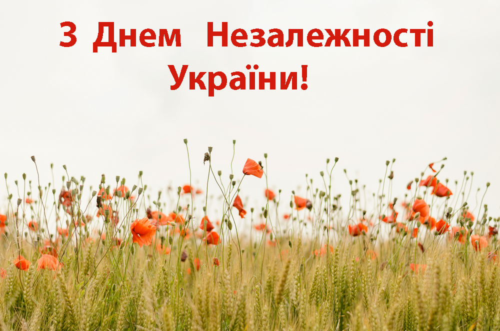 Несокрушимым и свободным: поздравления в картинках и стихах ко Дню Независимости Украины 2024 - фото 632882