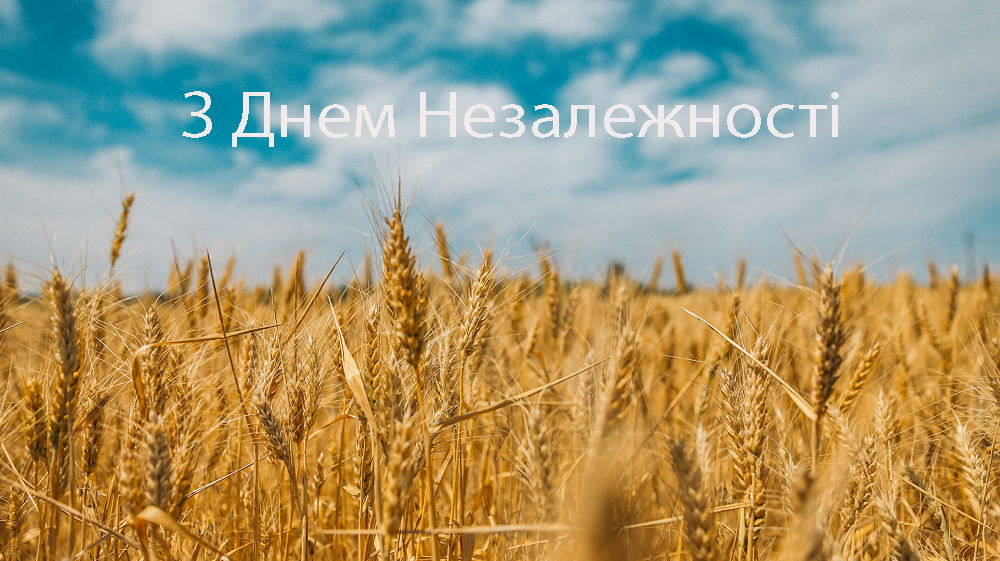 Несокрушимым и свободным: поздравления в картинках и стихах ко Дню Независимости Украины 2024 - фото 632885