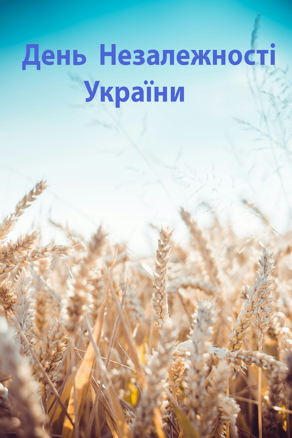 Несокрушимым и свободным: поздравления в картинках и стихах ко Дню Независимости Украины 2024 - фото 632886