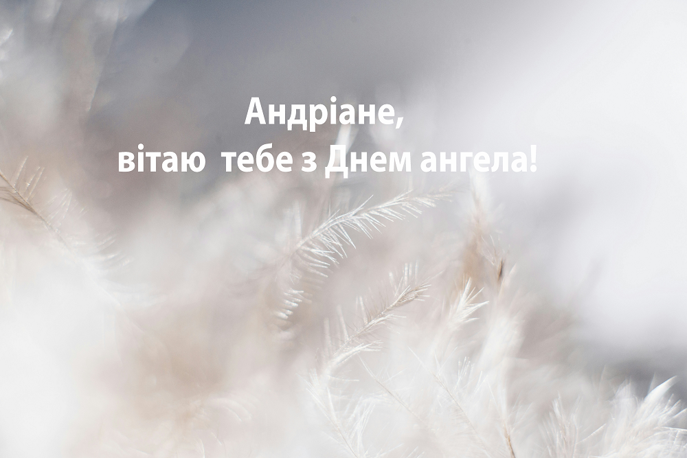 С Днем ангела Андриана: лучшие поздравления в стихах и картинках для владельцев уникального имени - 633100 С Днем ангела Андриана: лучшие поздравления в стихах и картинках для владельцев уникального имени - фото 633100