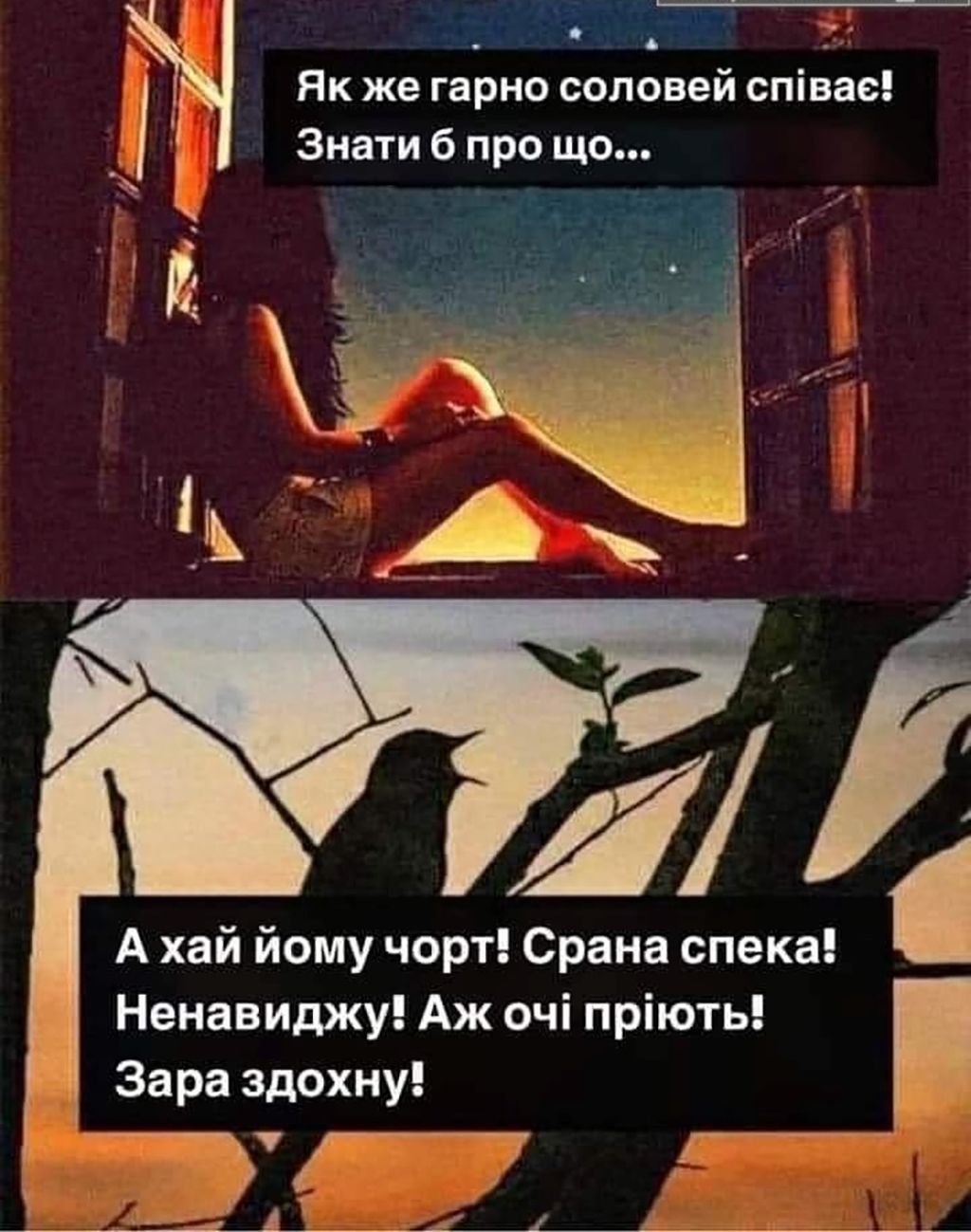 Останній день літа смішні картинки - 633350 Останній день літа смішні картинки - фото 633350