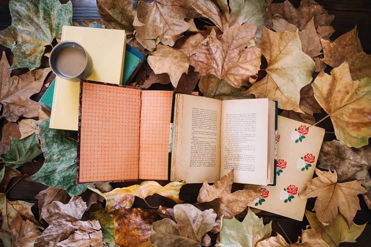 Книготерапия книготерапия: 10 цитат о любви к книгам, которые поймут только книголюбы - фото 633871