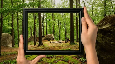 Лучшие поздравления ко Дню работника леса 2024