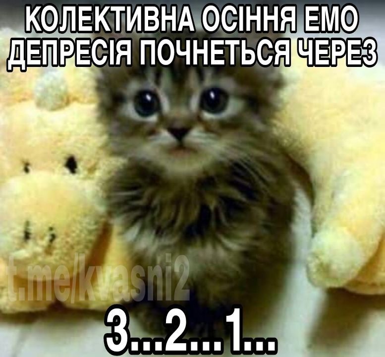 Осінь щойно почалася, а ми вже втомилися, тому розважаємося мемами про цю пору року - фото 635865