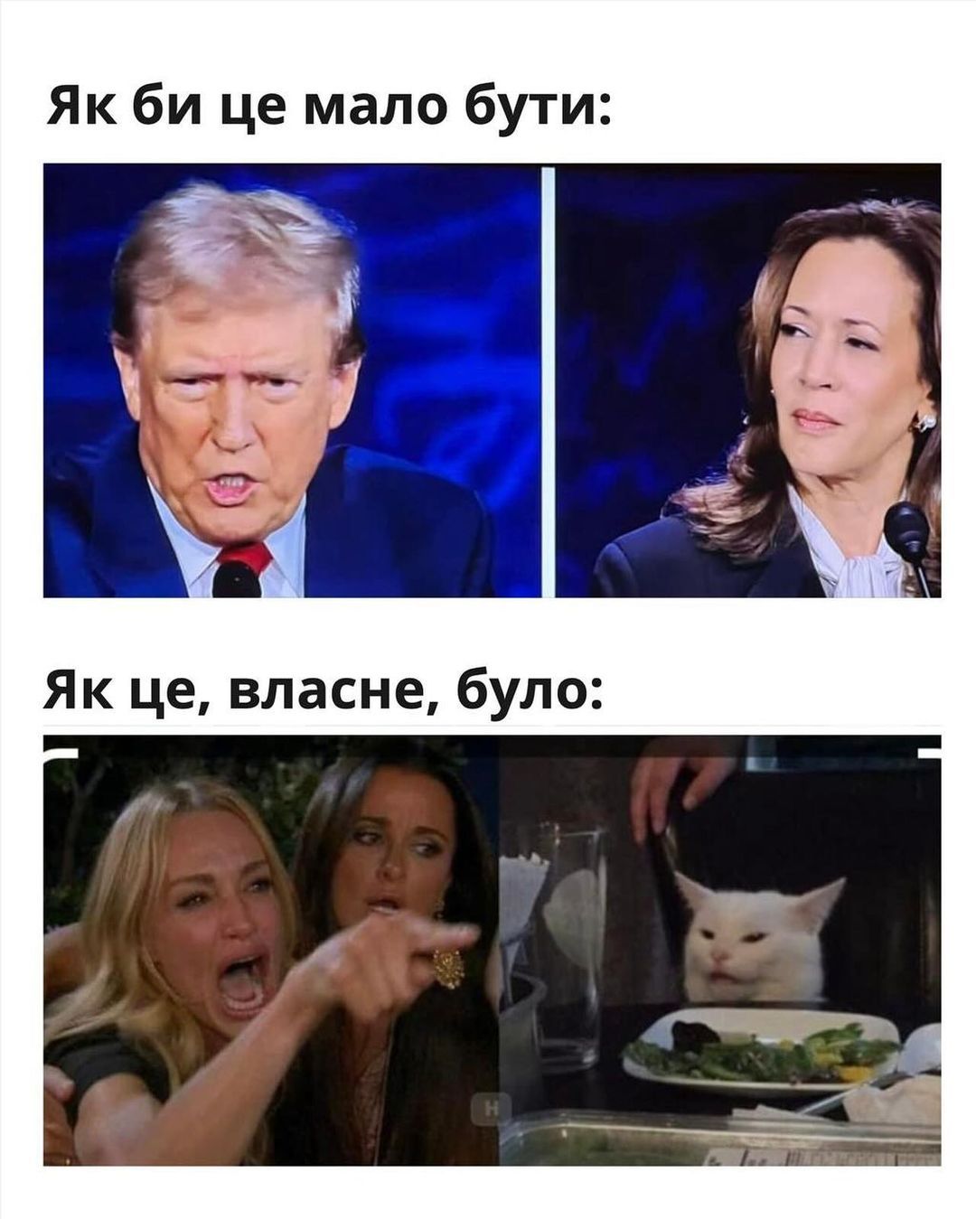 Меми про дебати Дональда Трампа і Камали Гарріс, які піднімуть тобі настрій - 638238 Меми про дебати Дональда Трампа і Камали Гарріс, які піднімуть тобі настрій - фото 638238