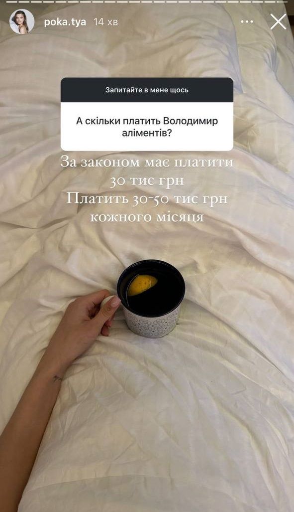 Сколько Владимир Остапчук платит бывшей жене за содержание детей после развода - 638619 Сколько Владимир Остапчук платит бывшей жене за содержание детей после развода - фото 638619