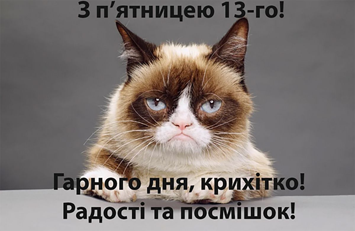Когда даже твой кот боится выходить из дома: мемная терапия к Пятнице 13-е - фото 638667