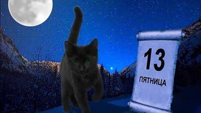 Когда даже твой кот боится выходить из дома: мемная терапия к Пятнице 13-е