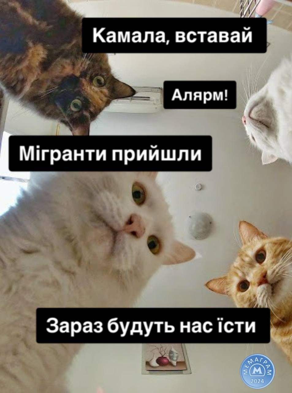 Мемы о дебатах Дональда Трампа и Камалы Харрис, которые поднимут тебе настроение - 640055 Мемы о дебатах Дональда Трампа и Камалы Харрис, которые поднимут тебе настроение - фото 640055