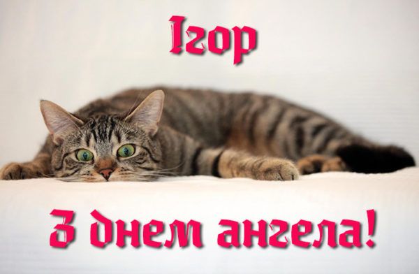 С Днем ангела Игоря: веселые картинки, которые поднимут настроение на целый день - 640553 С Днем ангела Игоря: веселые картинки, которые поднимут настроение на целый день - фото 640553