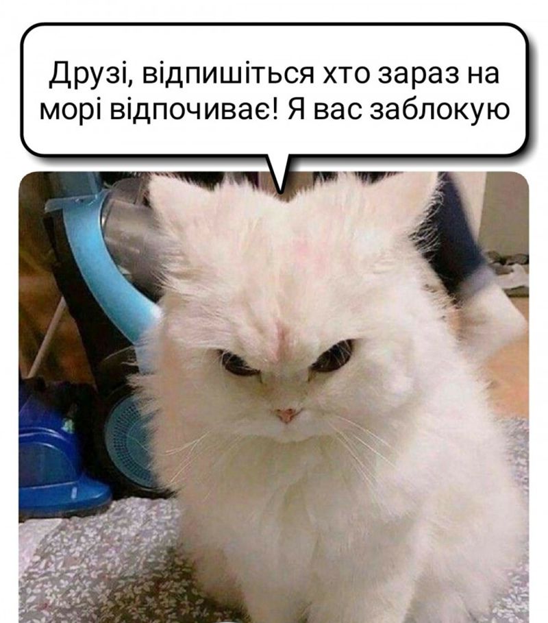 Мемы об отпуске, которые точно напомнят тебе о собственных приключениях - 641885 Мемы об отпуске, которые точно напомнят тебе о собственных приключениях - фото 641885
