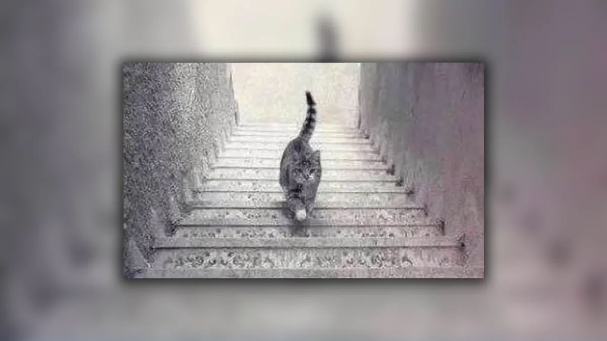 5 лучших черно-белых оптических иллюзий, которые взорвут твой мозг - 642108 5 лучших черно-белых оптических иллюзий, которые взорвут твой мозг - фото 642108