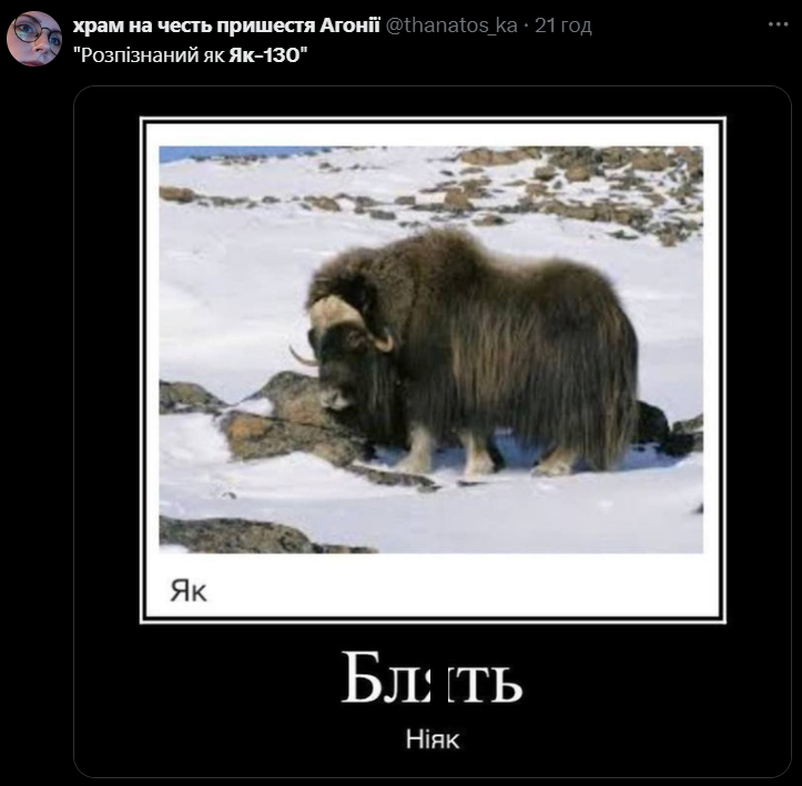 Дивись меми про білоруський літак Як-130, який наче кіт Шредінгера - 642815 Дивись меми про білоруський літак Як-130, який наче кіт Шредінгера - фото 642815