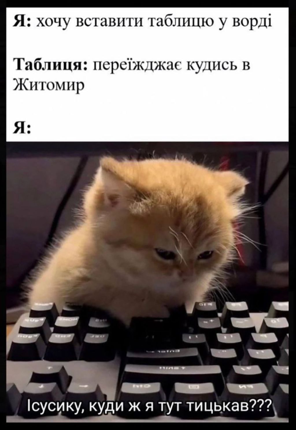 Смешные цитаты и мемы, которые заставят тебя улыбаться на работе - фото 643770