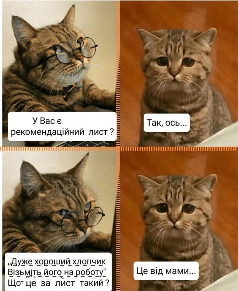 Смешные цитаты и мемы, которые заставят тебя улыбаться на работе - фото 643779