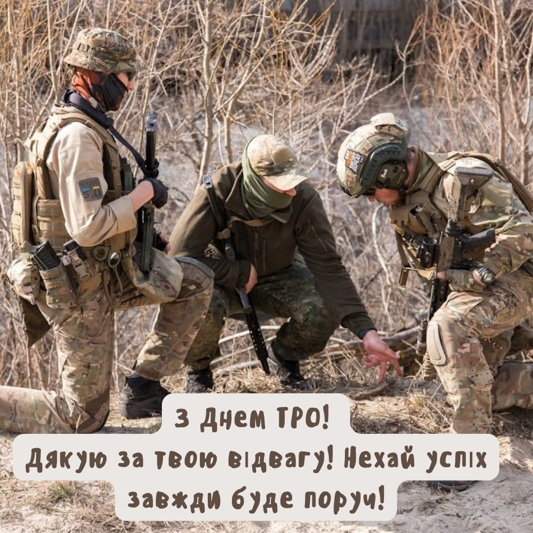 Ваше мужество - наша свобода: лучшие открытки и поздравления ко Дню территориальной обороны - фото 644411