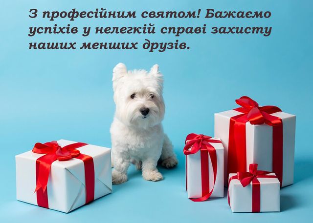 Привітання з Днем ветеринарної служби 2024 - сердечні привітання у прозі та  милі листівки до свята. Читайте на UKR.NET
