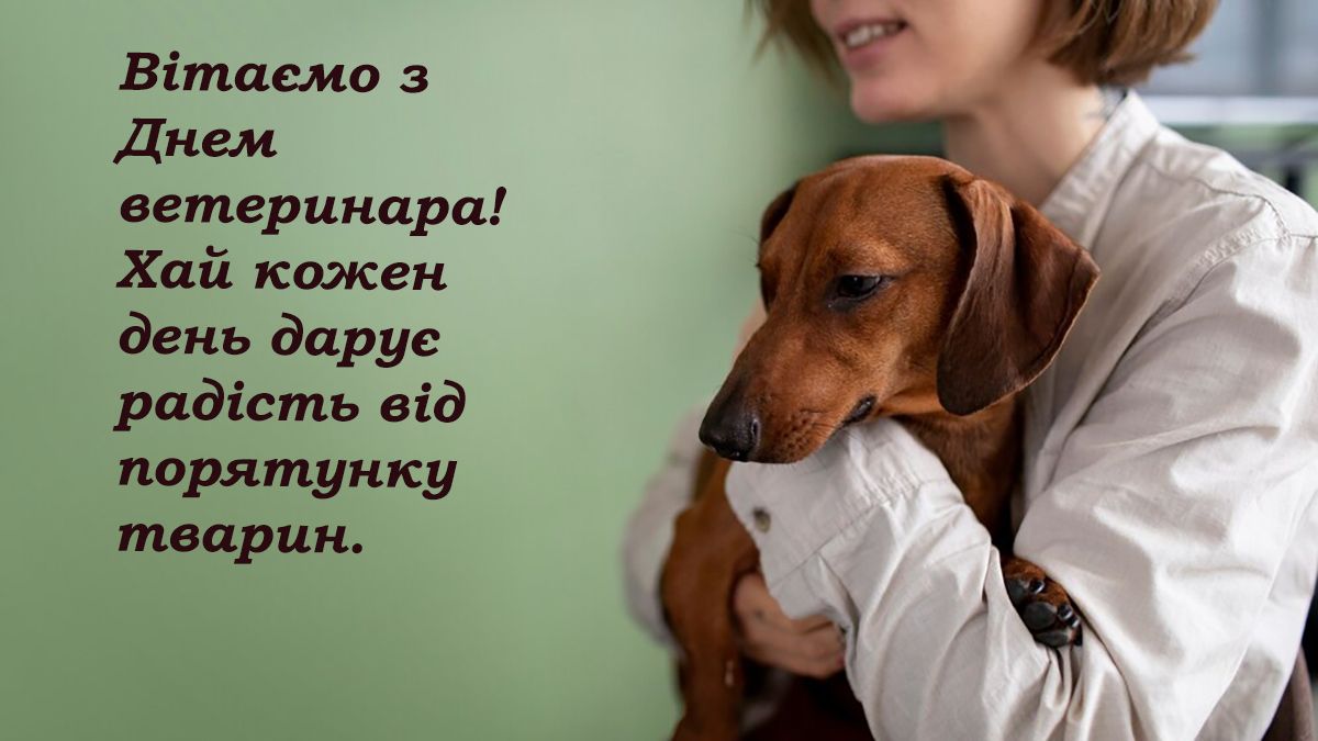 Поздравления с Днем ветеринара 2024 - сердечные поздравления в прозе и милые открытки к празднику - 644613 Поздравления с Днем ветеринара 2024 - сердечные поздравления в прозе и милые открытки к празднику - фото 644613