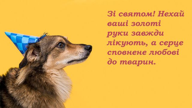 Привітання з Днем ветеринарної служби 2024 - сердечні привітання у прозі та  милі листівки до свята. Читайте на UKR.NET