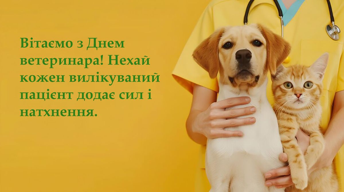 Поздравления с Днем ветеринара 2024 - сердечные поздравления в прозе и милые открытки к празднику - 644616 Поздравления с Днем ветеринара 2024 - сердечные поздравления в прозе и милые открытки к празднику - фото 644616