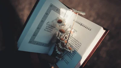 15 вдохновляющих цитат о роли учителя