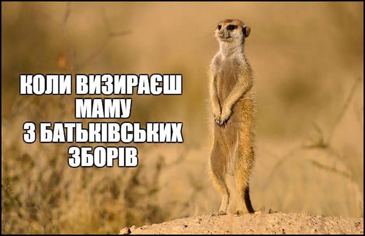 меми про вчителів - фото 645039