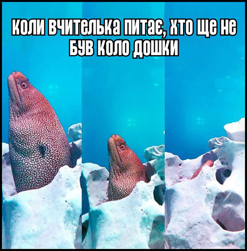 прикольні меми про школу - підбірка - фото 645046