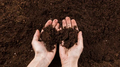 Квадроберов потеснили кранчеры: кто это и что в них особенного