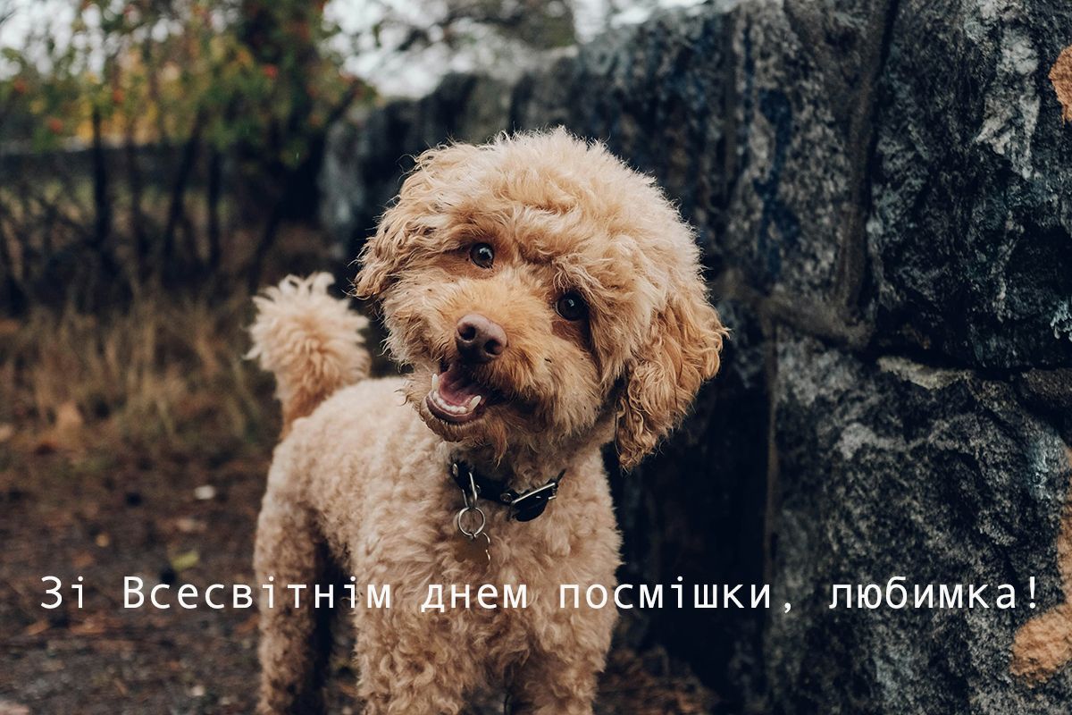 Позитивные картинки со Всемирным днем улыбки, которые поднимут настроение кому угодно - фото 645622