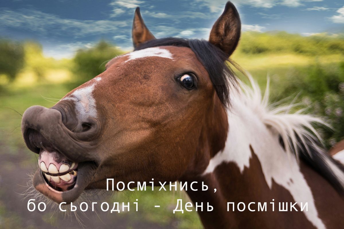 Позитивные картинки со Всемирным днем улыбки, которые поднимут настроение кому угодно - фото 645625