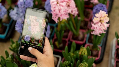 Google презентував нову функцію: ще один корисний інструмент для пошуку