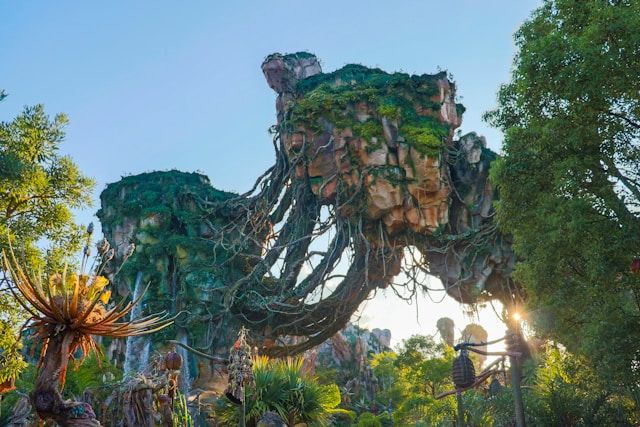 Тематические парки Walt Disney World во Флориде закрывают: что стало причиной - 647184 Тематические парки Walt Disney World во Флориде закрывают: что стало причиной - фото 647184