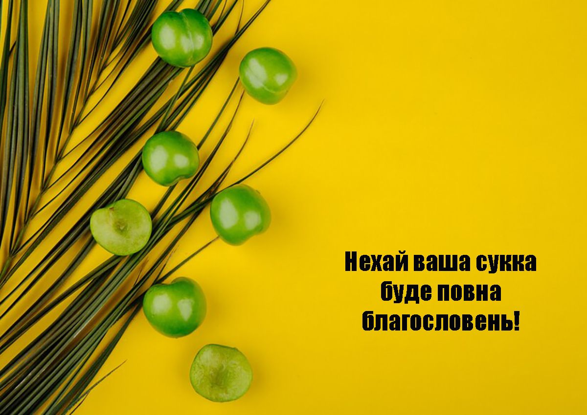 Оригинальные поздравления с праздником Суккот 2024: невероятные открытки к празднику на украинском - фото 647377