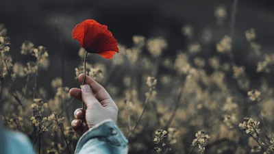 10 цитат, які допоможуть пережити нерозділене почуття