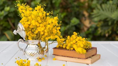 Оригінальні привітання з Днем української писемності та мови 2024: надихаюча проза та яскраві картинки