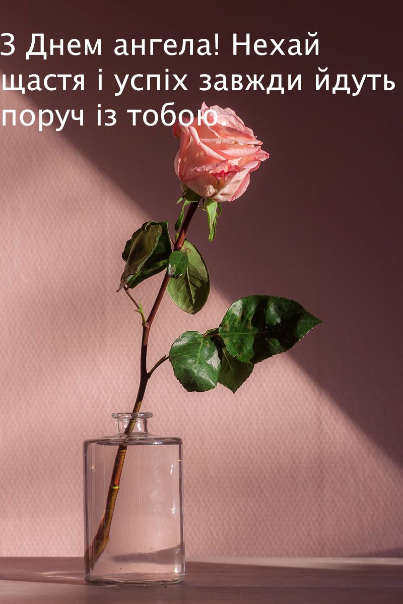 З Днем ангела Єлизавети 2024 - картинки - фото 648825